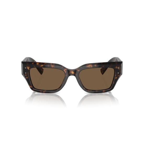  돌체앤가바나 선글라스 DG4462 502 73 Havana - DOLCE & GABBANA