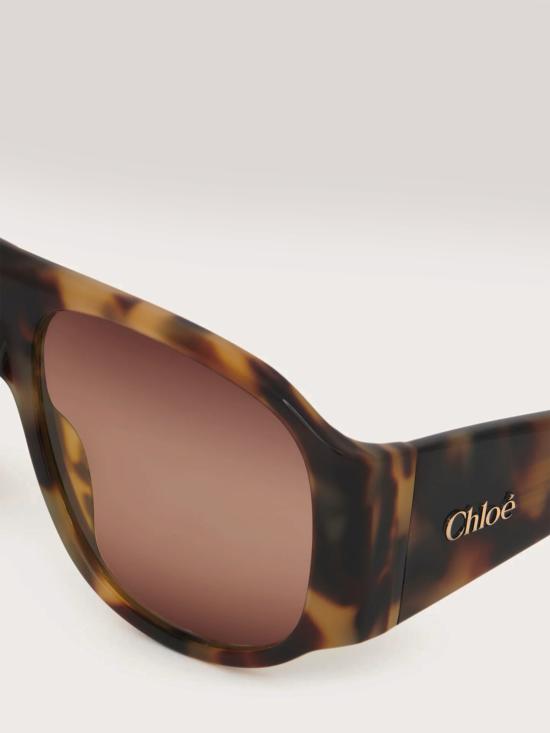 26FW 끌로에 선글라스 CH26WEK0347 BROWN - CHLOE