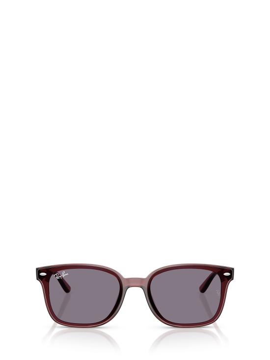 26FW 레이밴 선글라스 RB4461D 659373 TRANSPARENT DARK BROWN