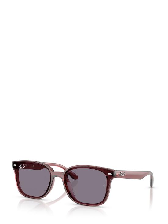26FW 레이밴 선글라스 RB4461D 659373 TRANSPARENT DARK BROWN - RAY BAN