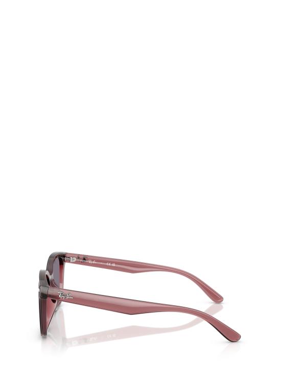 26FW 레이밴 선글라스 RB4461D 659373 TRANSPARENT DARK BROWN - RAY BAN