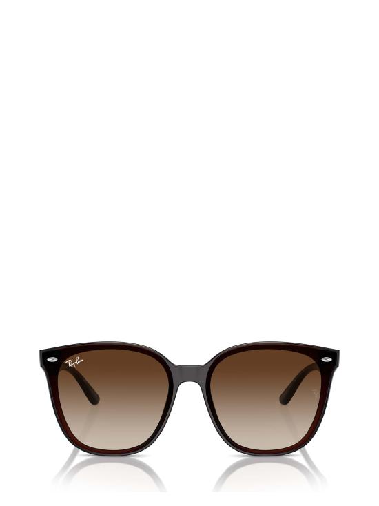 26FW 레이밴 선글라스 RB4423D 714 13 TRANSPARENT BROWN