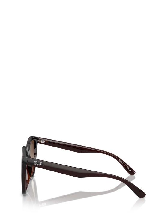 26FW 레이밴 선글라스 RB4423D 714 13 TRANSPARENT BROWN - RAY BAN