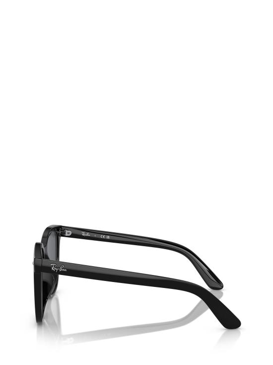 26FW 레이밴 선글라스 RB4401D 601 87 BLACK - RAY BAN