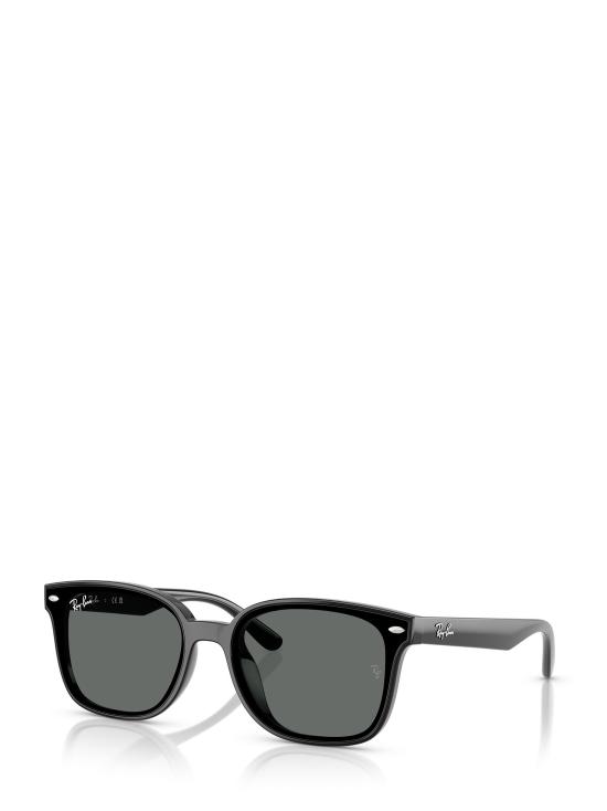26FW 레이밴 선글라스 RB4461D 601 87 BLACK - RAY BAN