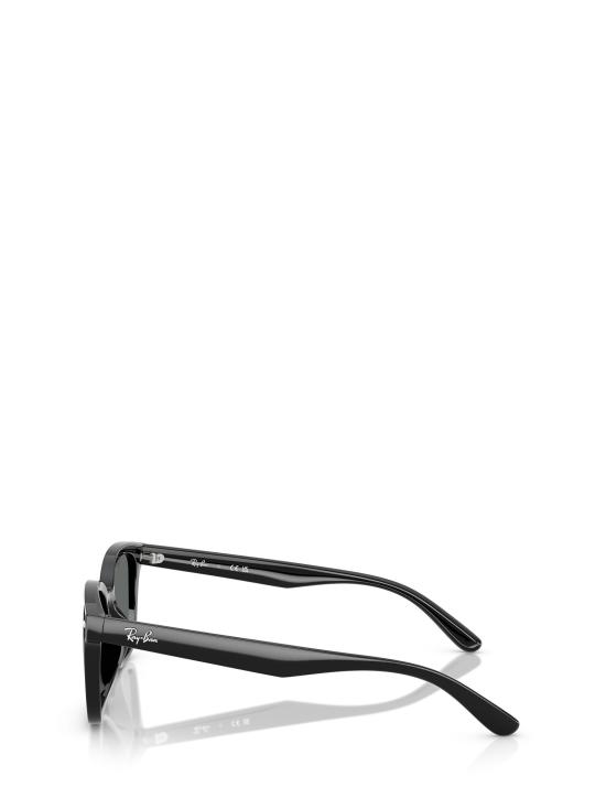 26FW 레이밴 선글라스 RB4461D 601 87 BLACK - RAY BAN