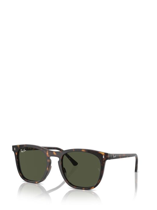 26FW 레이밴 선글라스 RB2210 902 31 HAVANA - RAY BAN