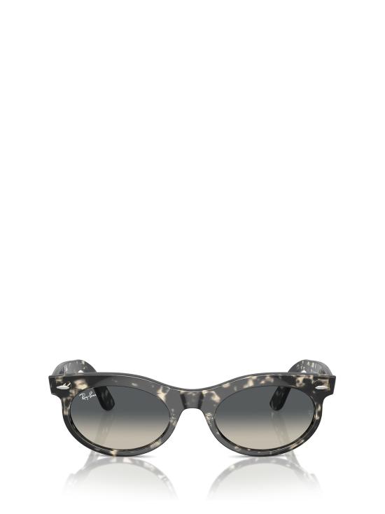 26FW 레이밴 선글라스 RB2242 133371 GREY HAVANA