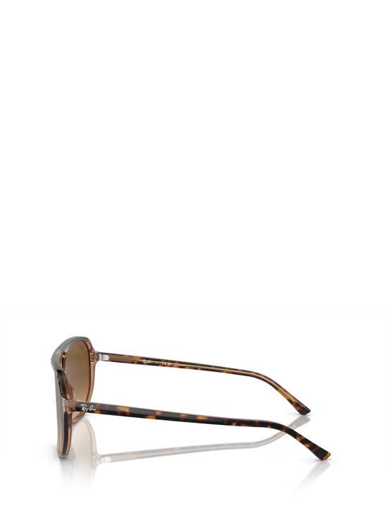 26FW 레이밴 선글라스 RB2205 1292M2 HAVANA ON TRANSPARENT BROWN - RAY BAN