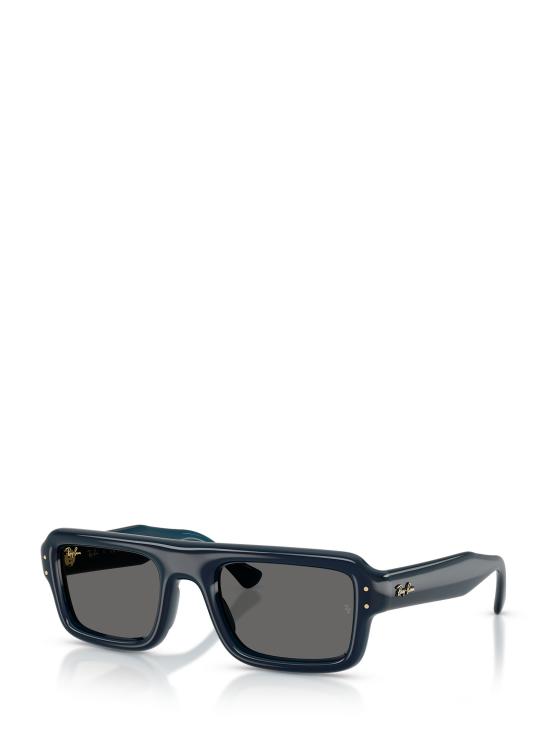 26FW 레이밴 선글라스 RB4954 689587 - RAY BAN