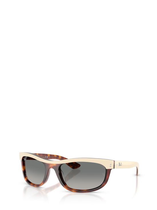 26FW 레이밴 선글라스 RB2489 144371 BEIGE HAVANA - RAY BAN