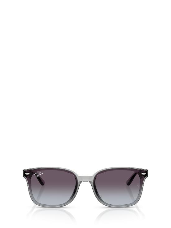 26FW 레이밴 선글라스 RB4461D 64508G TRANSPARENT GREY