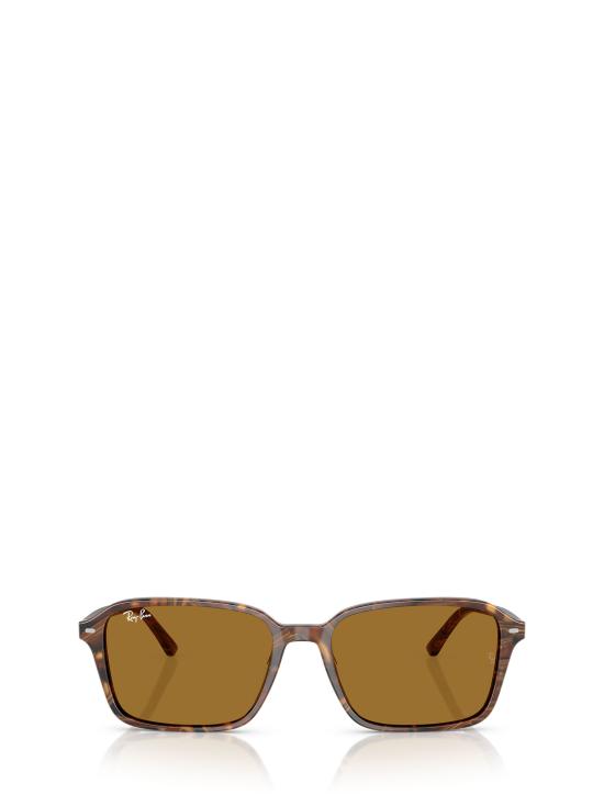 26FW 레이밴 선글라스 RB2231 141833 TRANSPARENT FANTASY BROWN