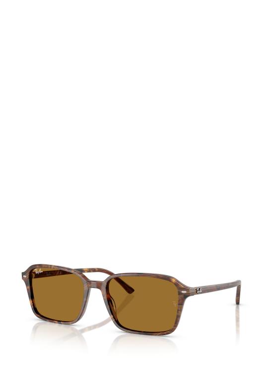26FW 레이밴 선글라스 RB2231 141833 TRANSPARENT FANTASY BROWN - RAY BAN