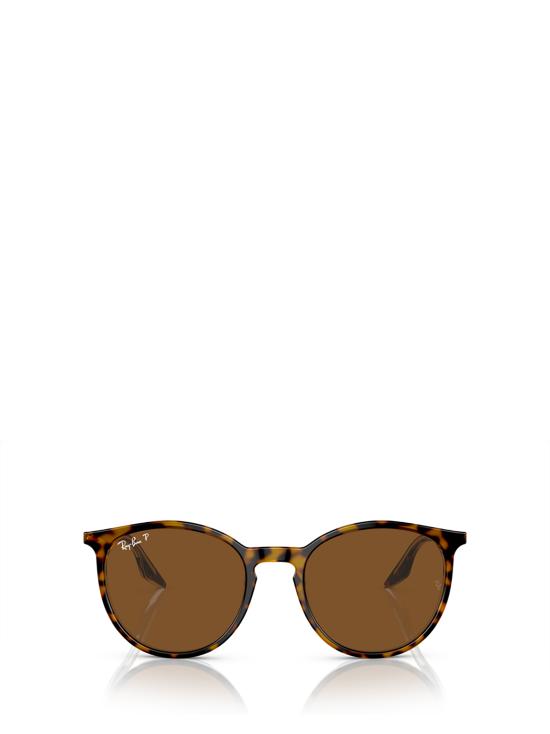 26FW 레이밴 선글라스 RB2204 139357 HAVANA ON TRANSPARENT