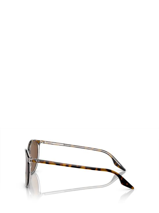 26FW 레이밴 선글라스 RB2204 139357 HAVANA ON TRANSPARENT - RAY BAN