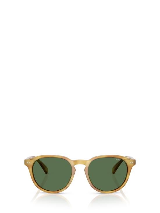 26FW 폴로 랄프로렌 선글라스 PH4221 618571 SHINY TORTOISE LIGHT BROWN