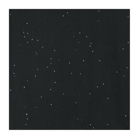 26FW 팔리에로 사르티 머플러/스카프 03323070 Black - FALIERO SARTI