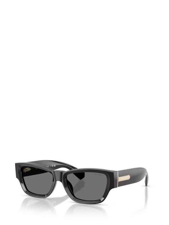 26FW 티파니앤코 선글라스 TF4265U 8001S4 BLACK - TIFFANY & CO