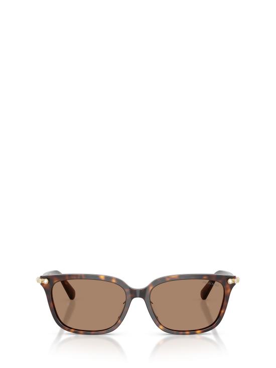 26FW 스와로브스키 선글라스 SK6064D 100273 HAVANA