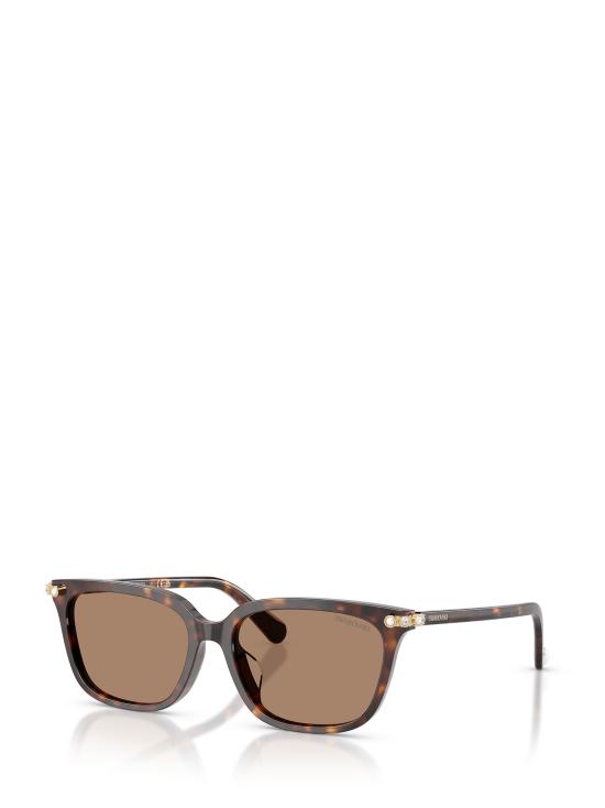 26FW 스와로브스키 선글라스 SK6064D 100273 HAVANA - SWAROVSKI