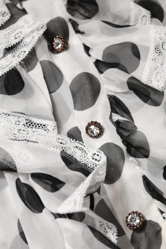  돌체앤가바나 블라우스 TSH90240 BLACK AND WHITE - DOLCE & GABBANA