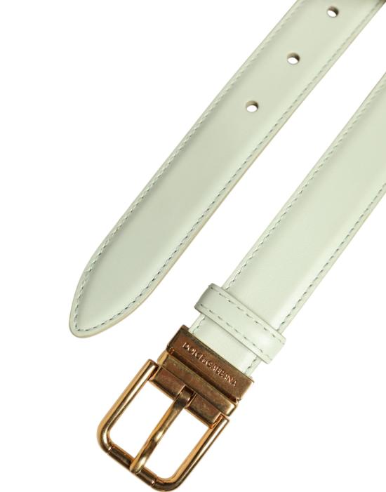  돌체앤가바나 벨트 WMB526 GREEN - DOLCE & GABBANA