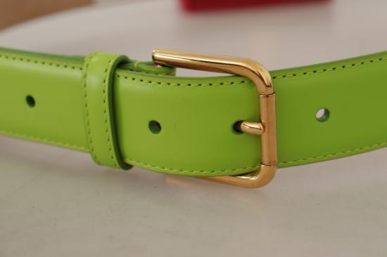  돌체앤가바나 벨트 WMB148 GREEN - DOLCE & GABBANA