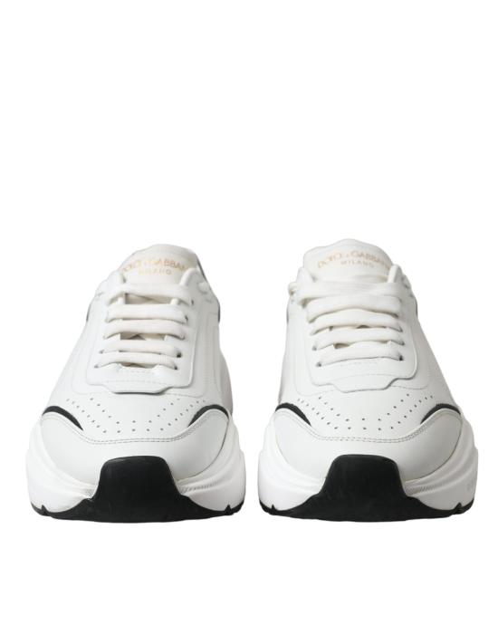  돌체앤가바나 스니커즈 LA10536 WHITE