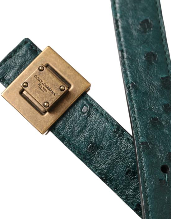  돌체앤가바나 벨트 BEL9198 GREEN - DOLCE & GABBANA
