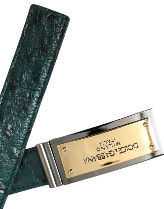  돌체앤가바나 벨트 BEL9205 GREEN - DOLCE & GABBANA