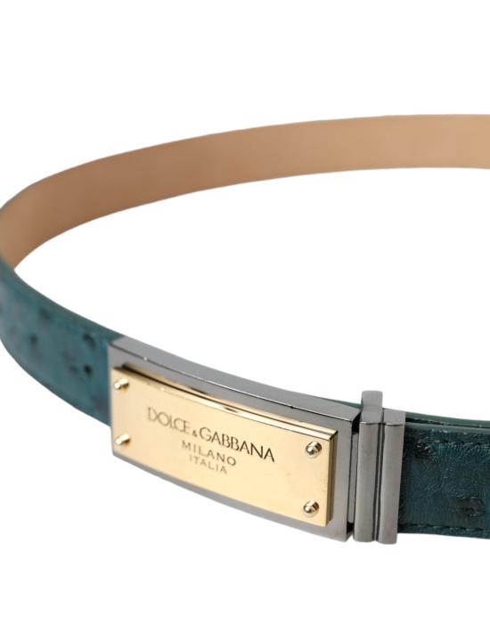  돌체앤가바나 벨트 BEL9205 GREEN - DOLCE & GABBANA