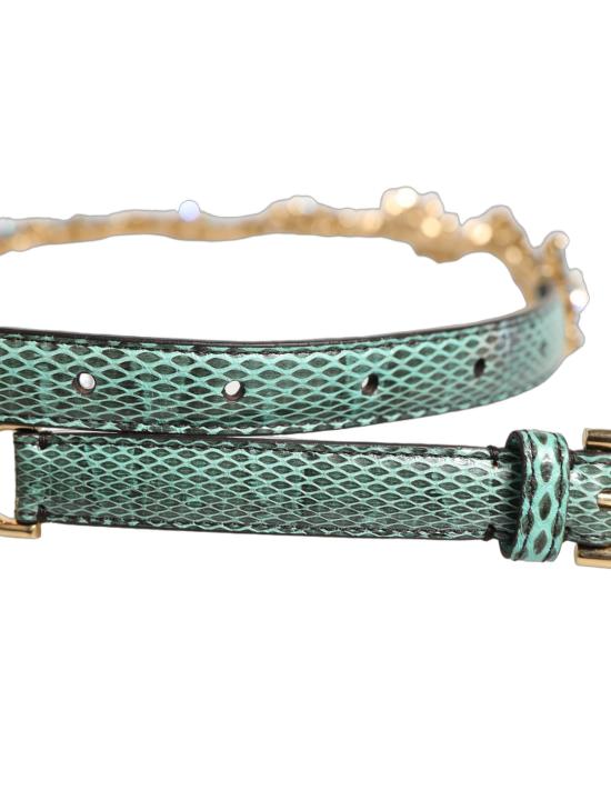  돌체앤가바나 벨트 WMB710 GREEN - DOLCE & GABBANA