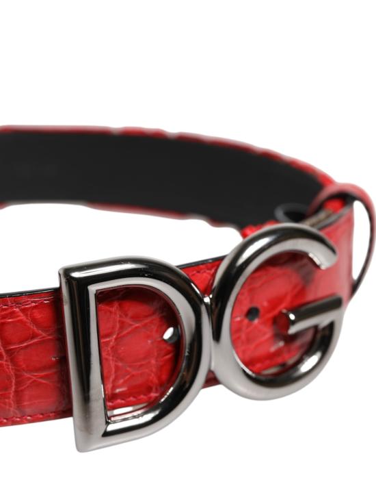  돌체앤가바나 벨트 WMB544 RED - DOLCE & GABBANA