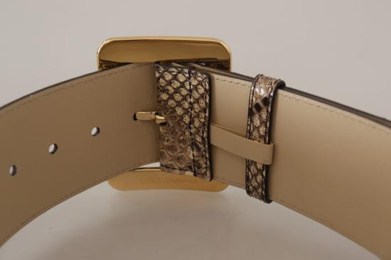  돌체앤가바나 벨트 WMB128 BROWN - DOLCE & GABBANA