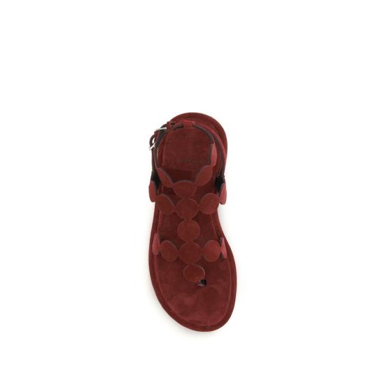 26SS 피에르하디 샌들 PIAGK2CARMINEBB BROWN - PIERRE HARDY