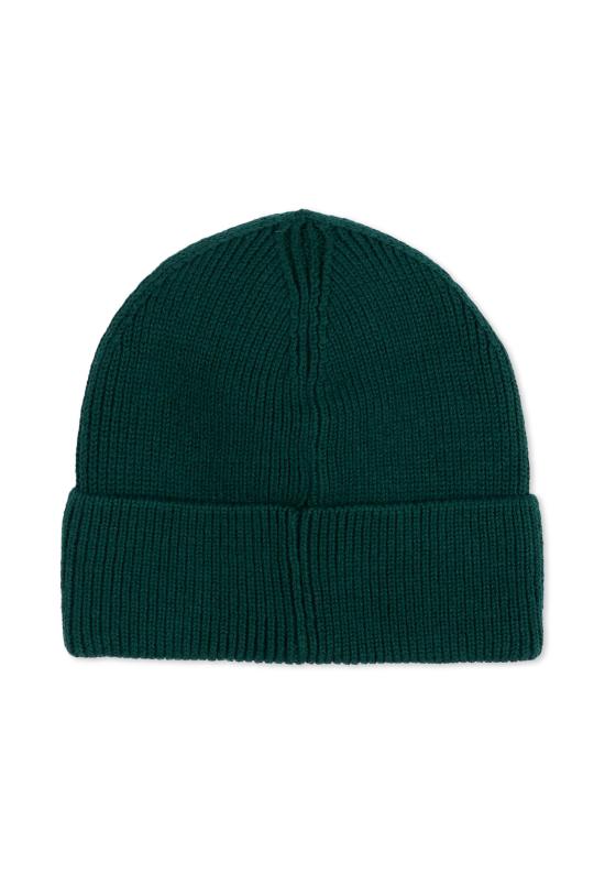 26FW [키즈] 자딕앤볼테르 모자 X60885 66H GREEN - ZADIG & VOLTAIRE