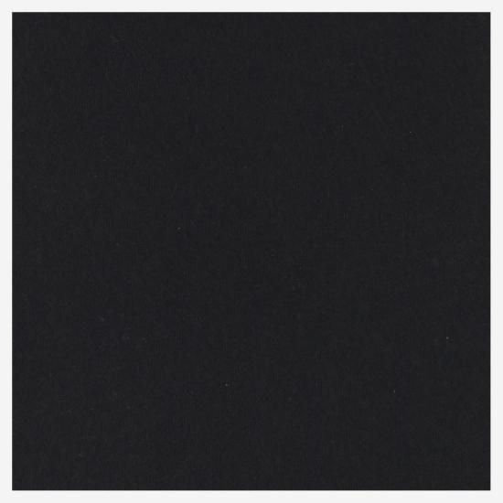  팔리에로 사르티 머플러/스카프 0298 BLACK