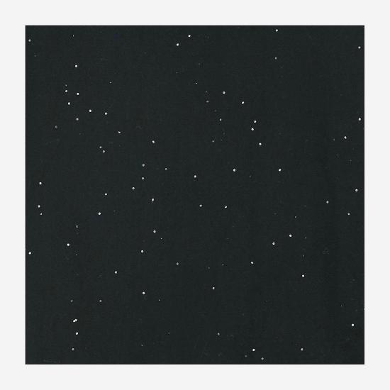 26FW 팔리에로 사르티 머플러/스카프 0332 BLACK - FALIERO SARTI
