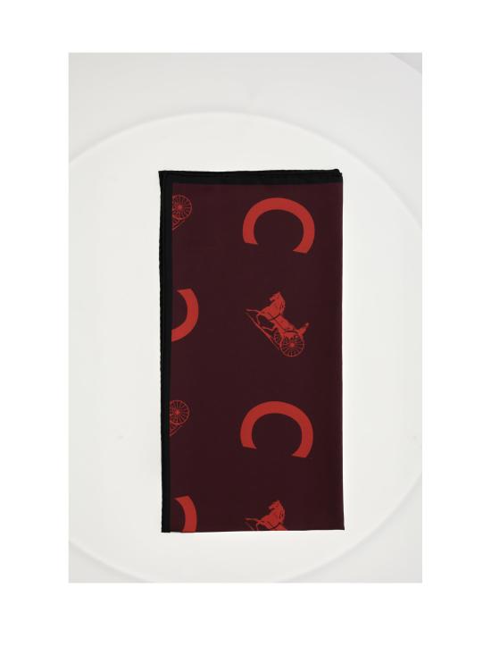  셀린느 머플러/스카프 2AW902R45 BURGUNDY - CELINE
