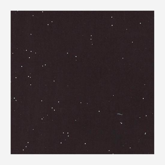 26FW 팔리에로 사르티 머플러/스카프 0332 BROWN - FALIERO SARTI