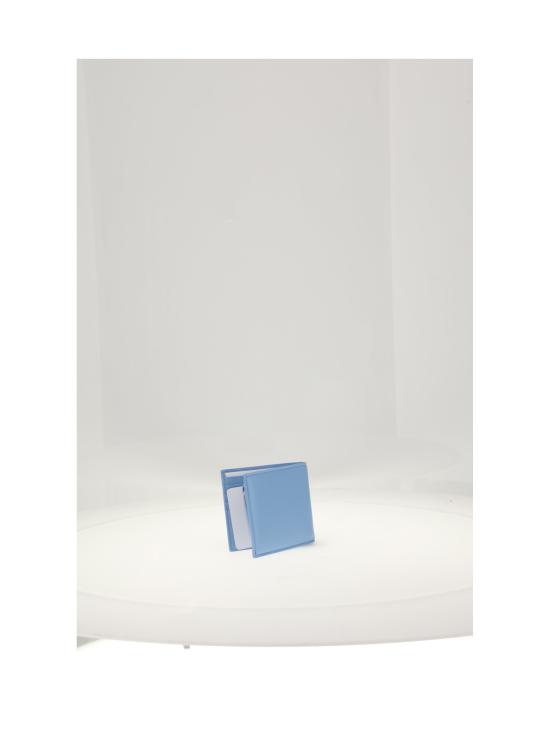 26FW 셀린느 남성지갑 10C873R24 BLUE - CELINE
