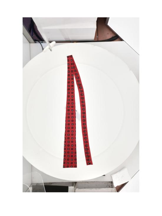 26FW 셀린느 넥타이 AA0HN5A40 RED - CELINE