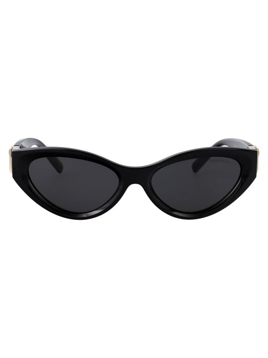  티파니앤코 선글라스 0TF4225U BLACK