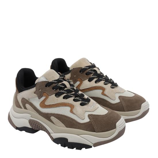 26FW 아쉬 어딕트 스니커즈 ADDICT 02 BEIGE - ASH