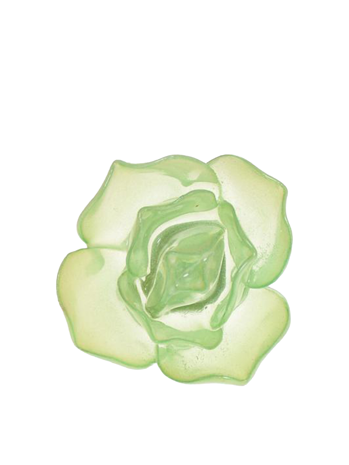  디스퀘어드2 / 여성 오버사이즈 로즈 링 RIW0086 13420001 M2557 Green BPG