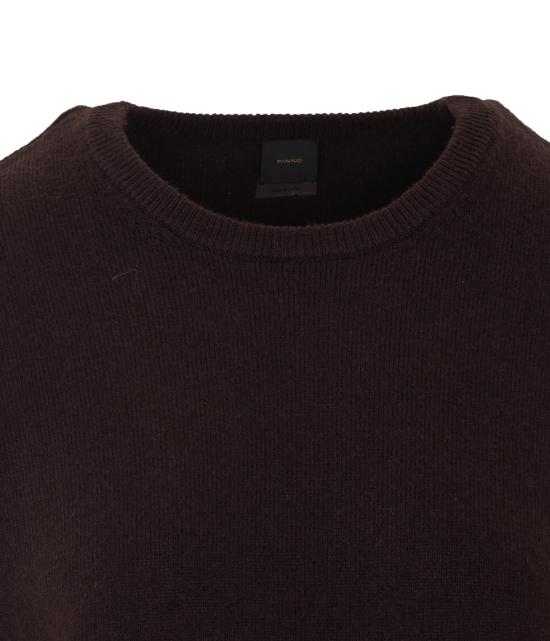 26FW 핑코 반팔 티셔츠 107341 A3GELN6 BROWN - PINKO