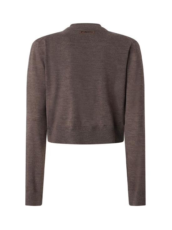 26FW 핑코 스웨터 107259 A3FYI66 GREY - PINKO
