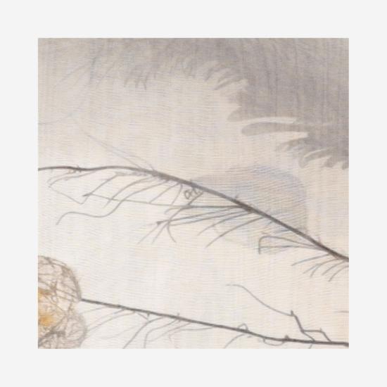 26FW 팔리에로 사르티 머플러/스카프 21863660 Neutrals - FALIERO SARTI