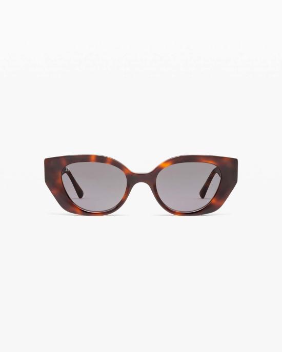  Jimmy Fairly 안경 지미 페어리 아말리아 선글라스 브라운 호피쉘